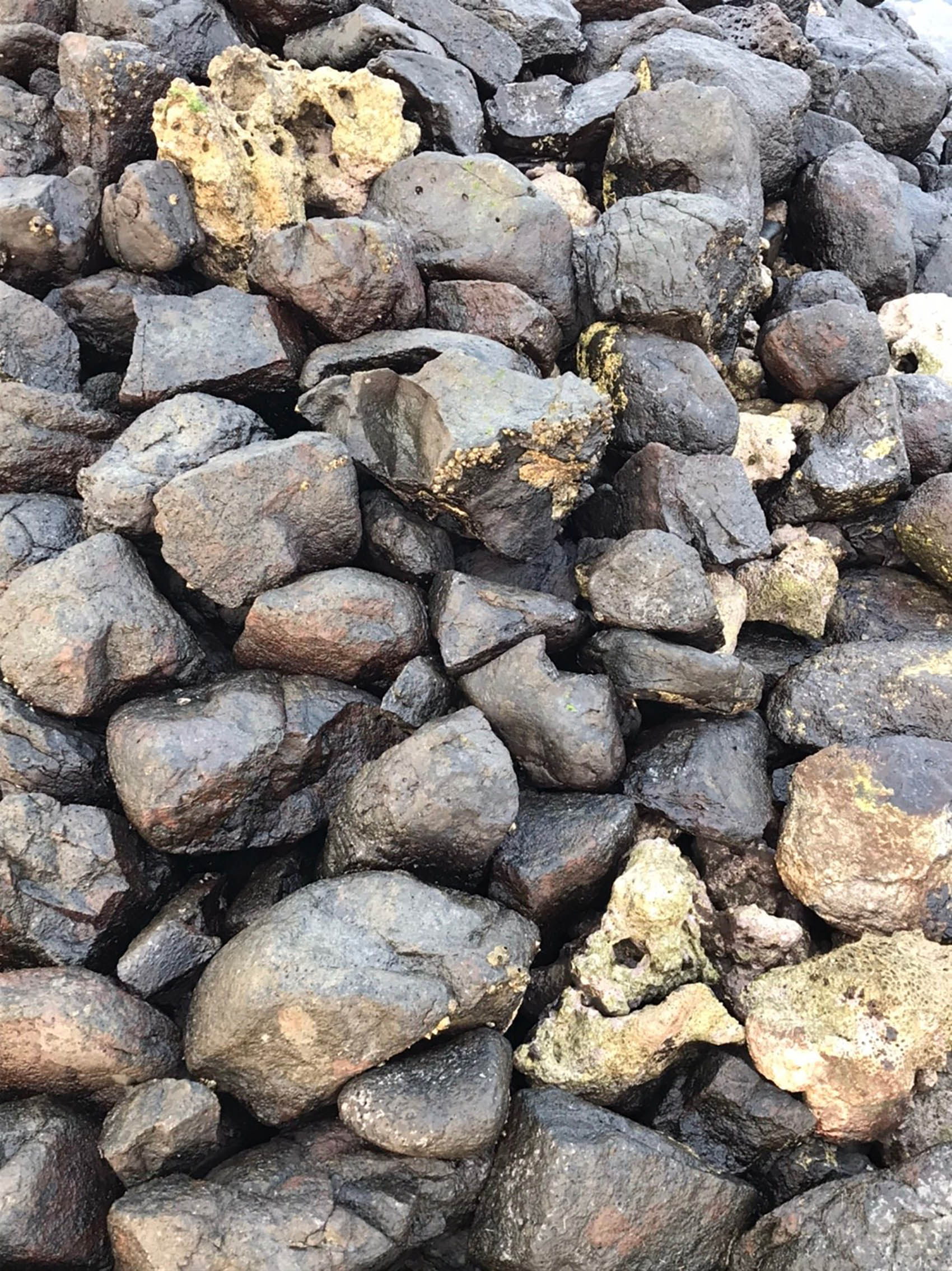 建造石滬的石材。