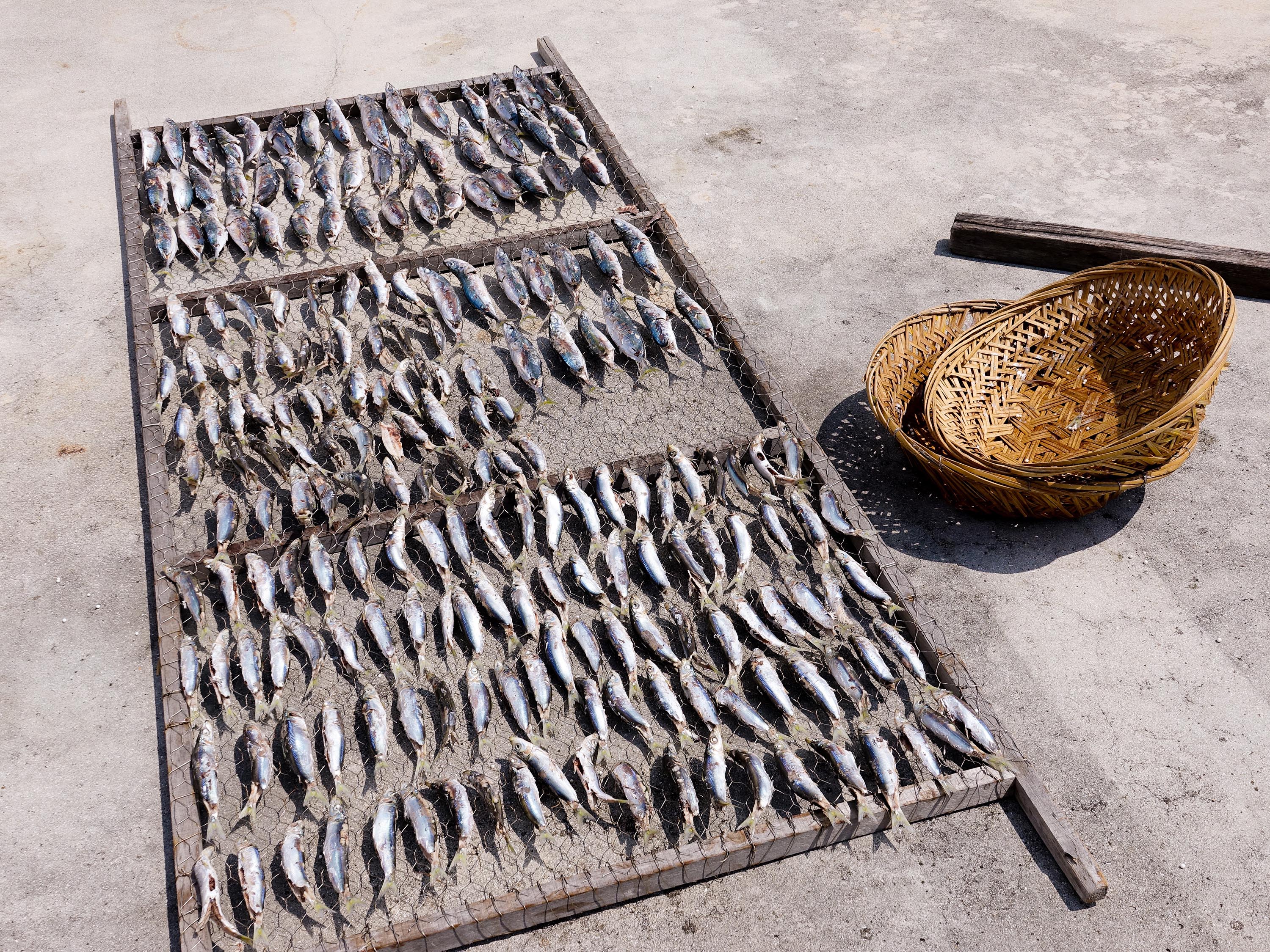 漁村點心｜炎炎夏日，下海所消耗的能量非同小可，根據能量守恆定律，我們需要將熱量給補回來！上岸之後來點道地的風味餐補補吧！