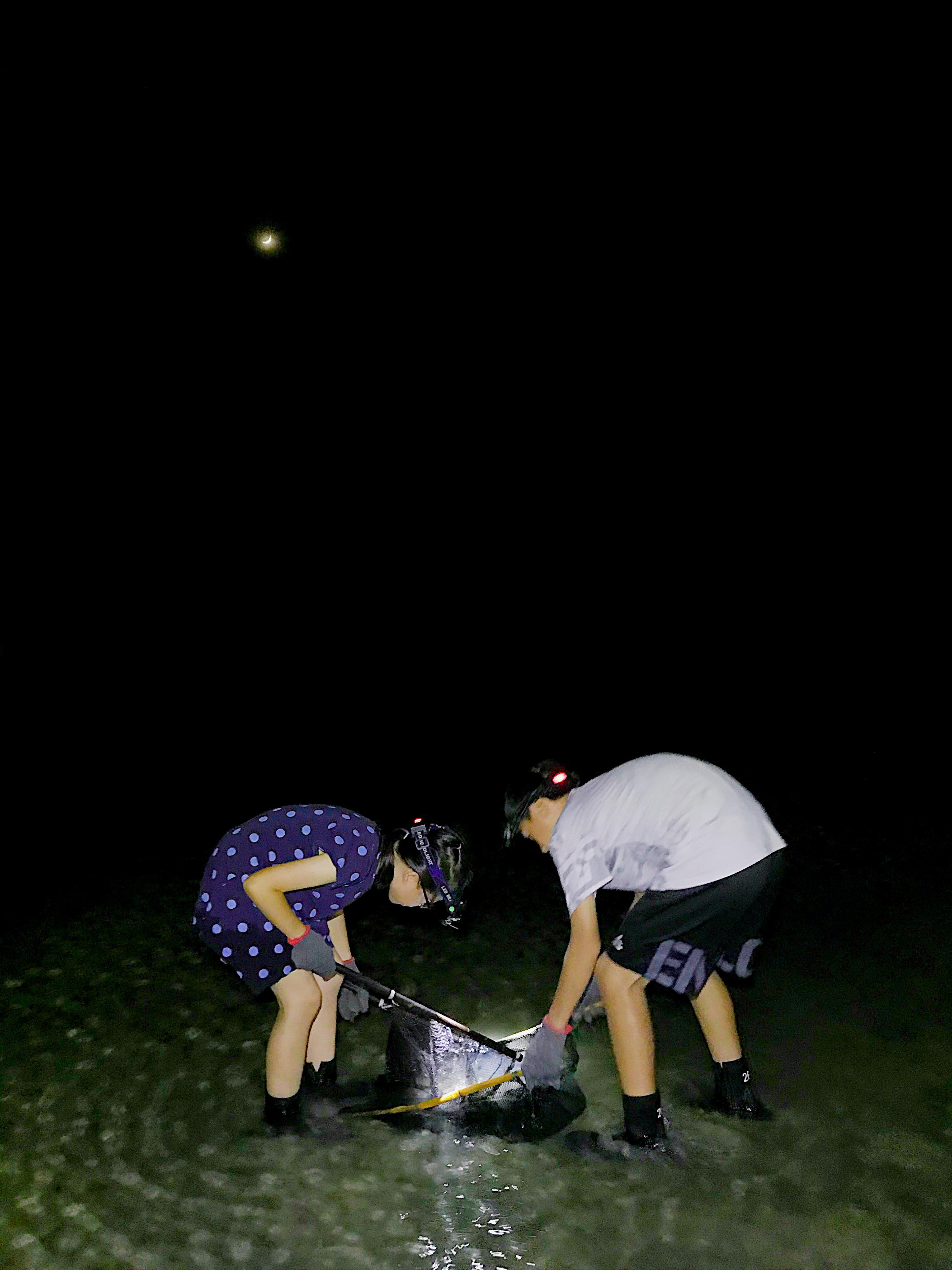 撈沙蝦｜身手矯健的沙蝦是跳遠好手，想要一睹牠的風采，除了倚靠專屬的特製漁具，更要眼明手快！