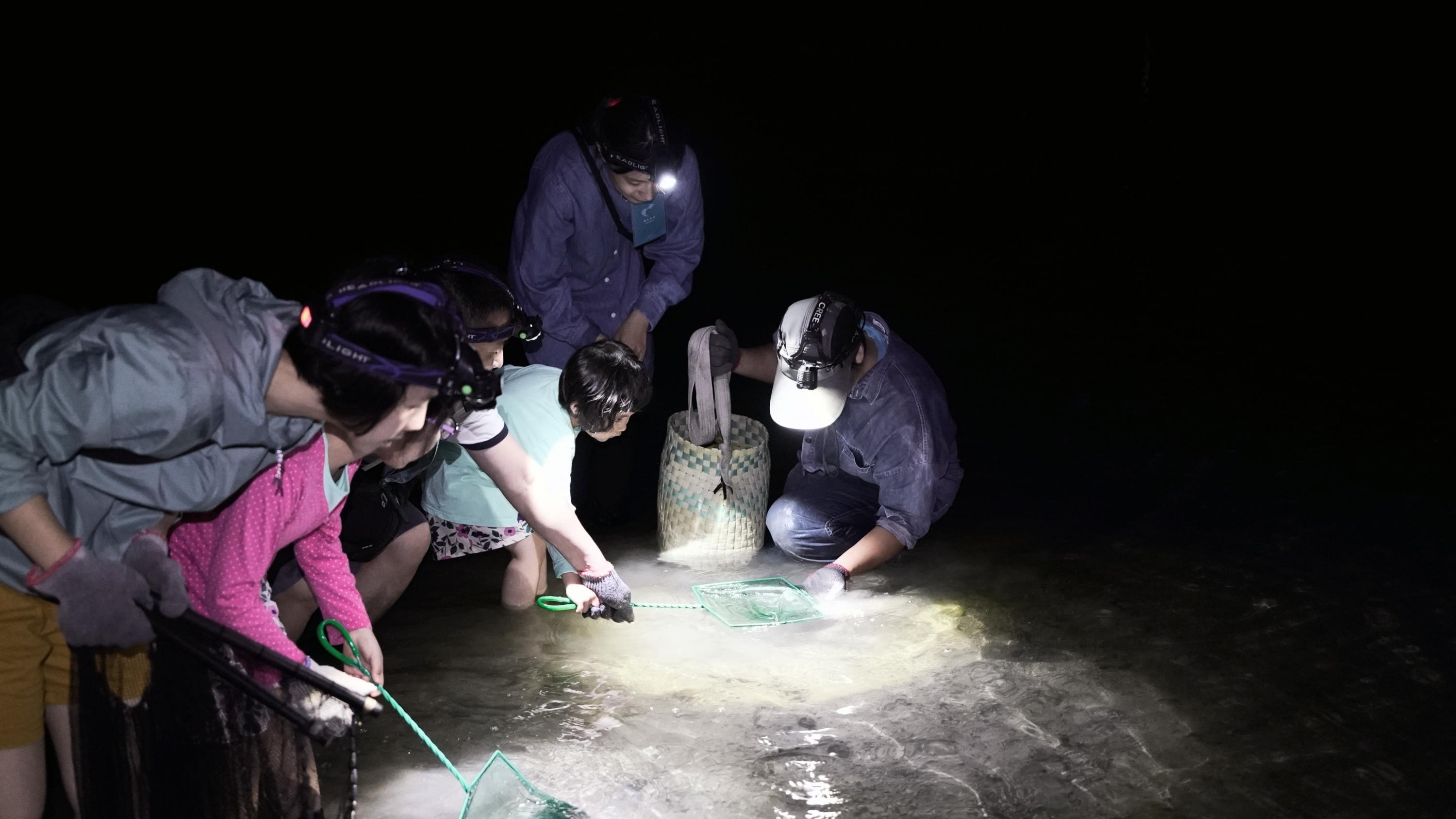 撈沙蝦｜身手矯健的沙蝦是跳遠好手，想要一睹牠的風采，除了倚靠專屬的特製漁具，更要眼明手快！