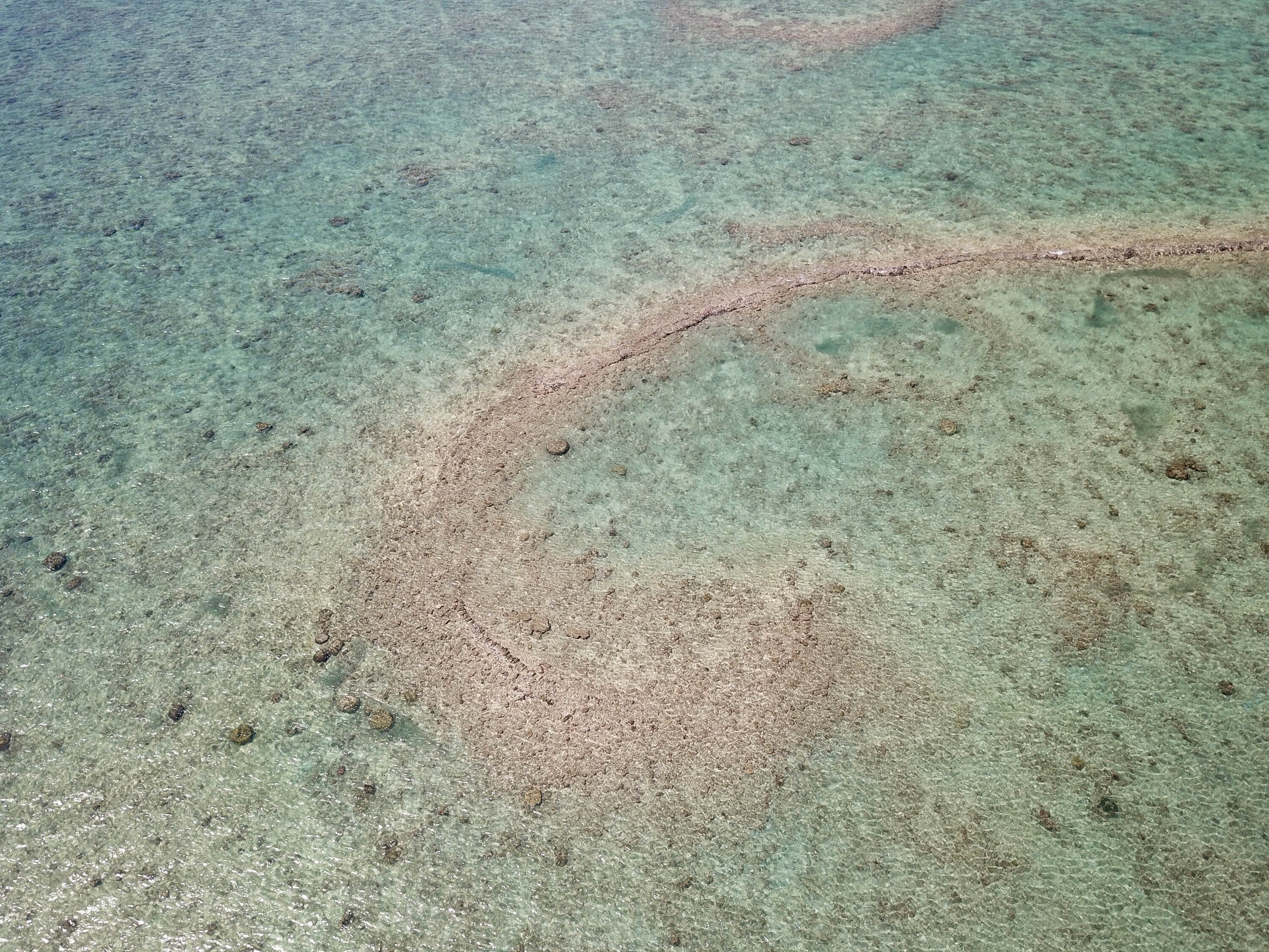 鳥嶼村新礁滬的左滬彎