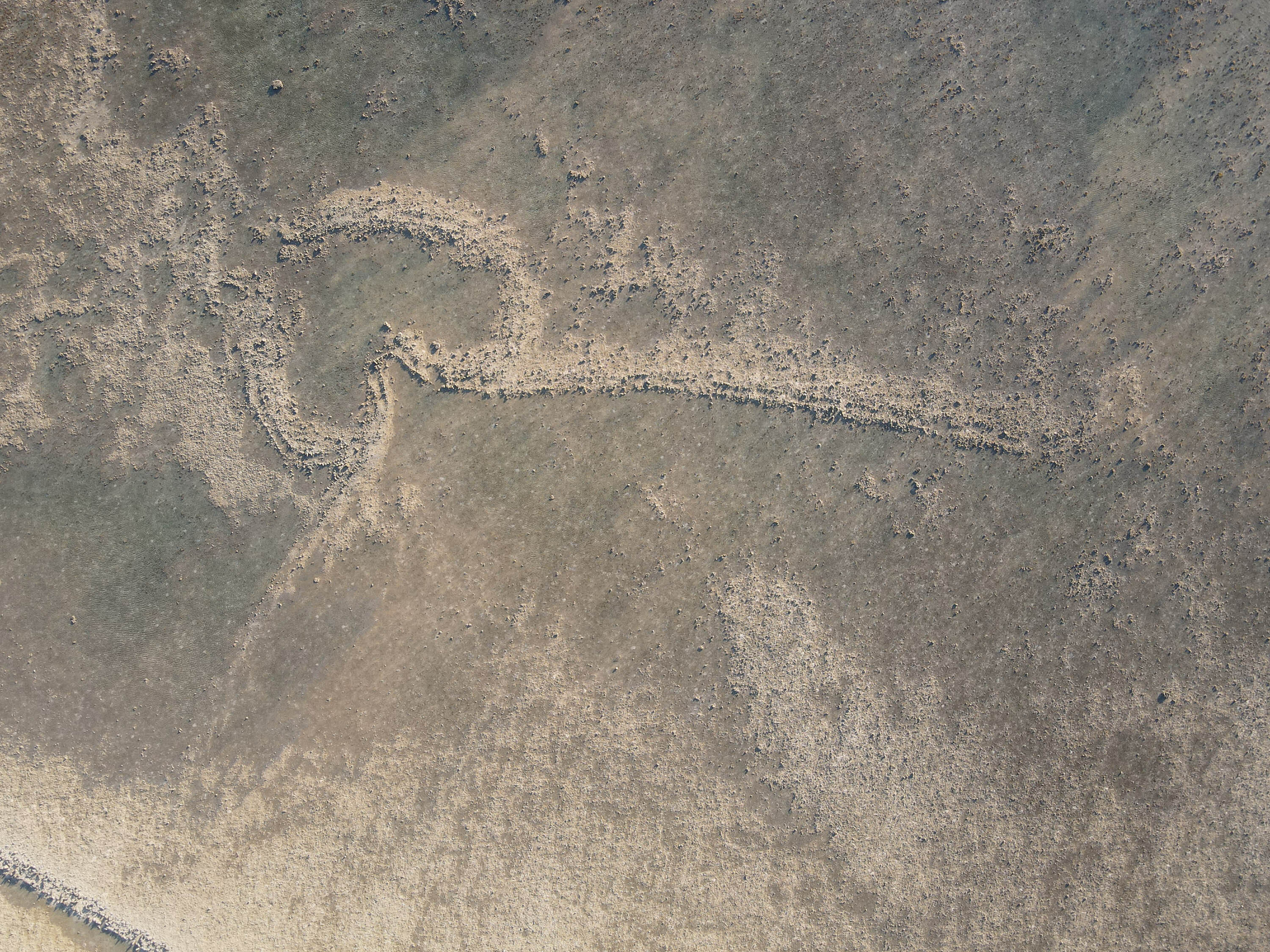 吉貝村無名滬（1）的全貌