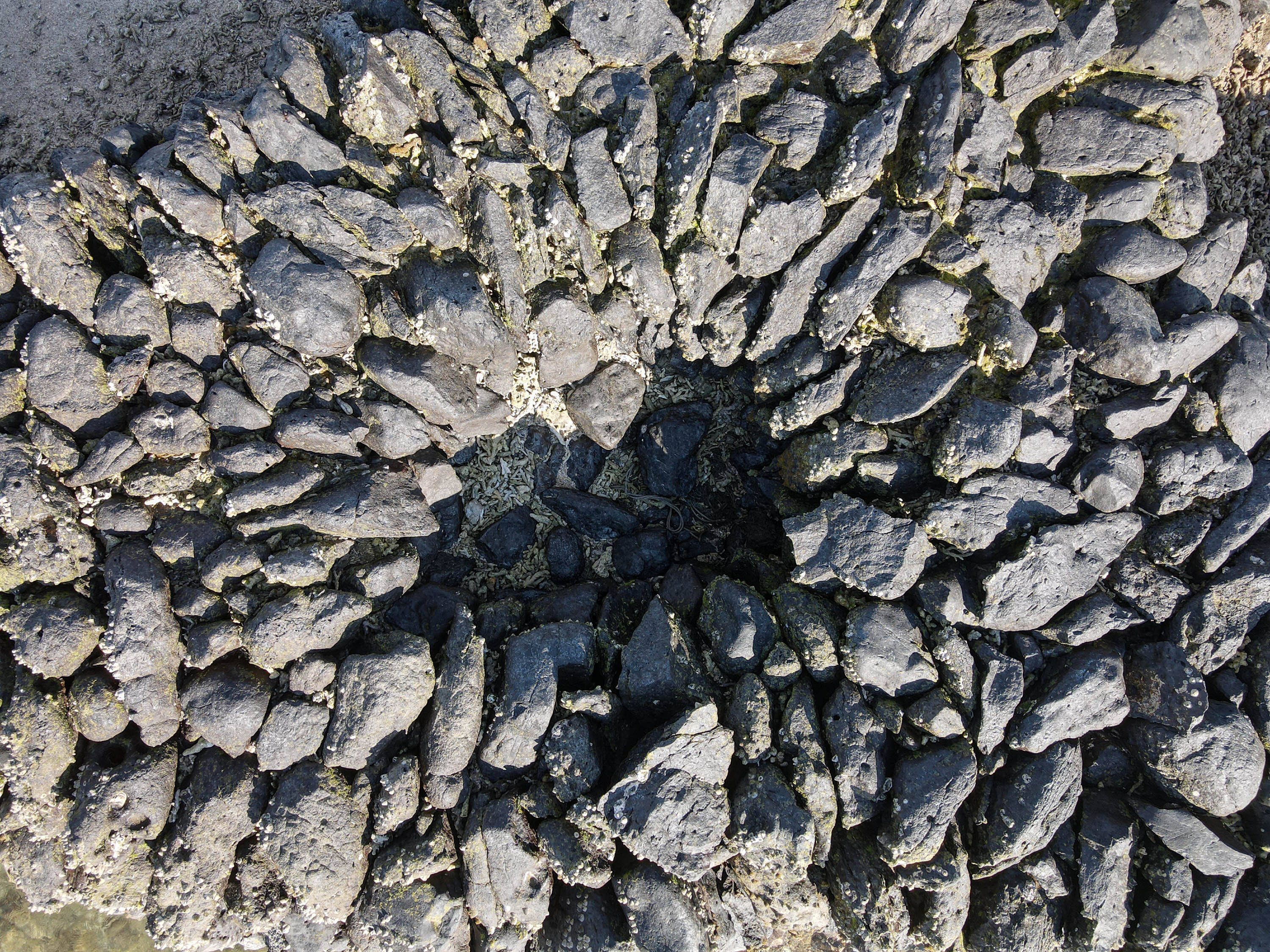 吉貝村上滬頭的右魚井