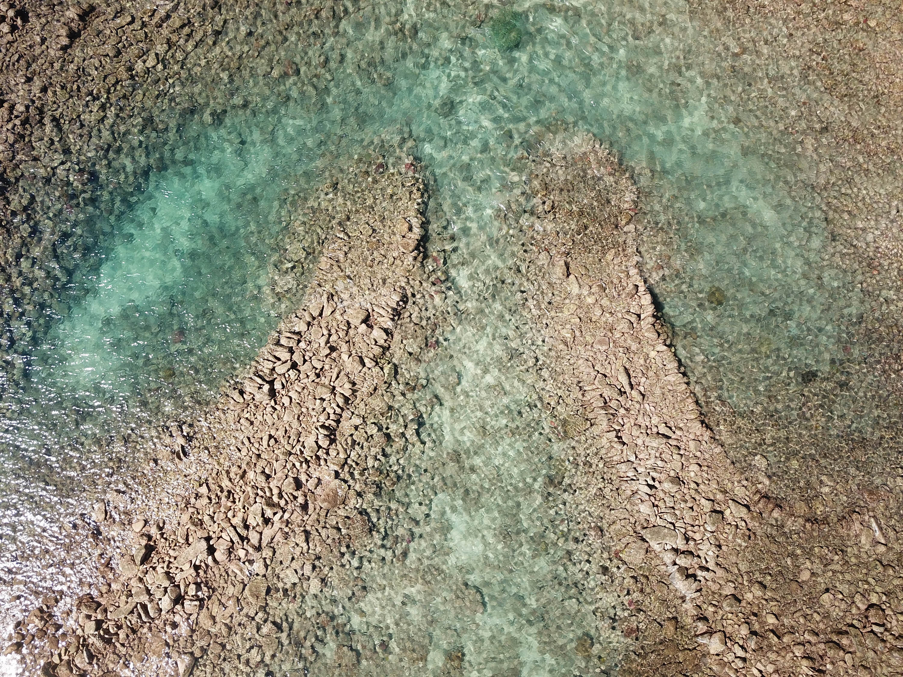 鳥嶼村外新滬的滬門