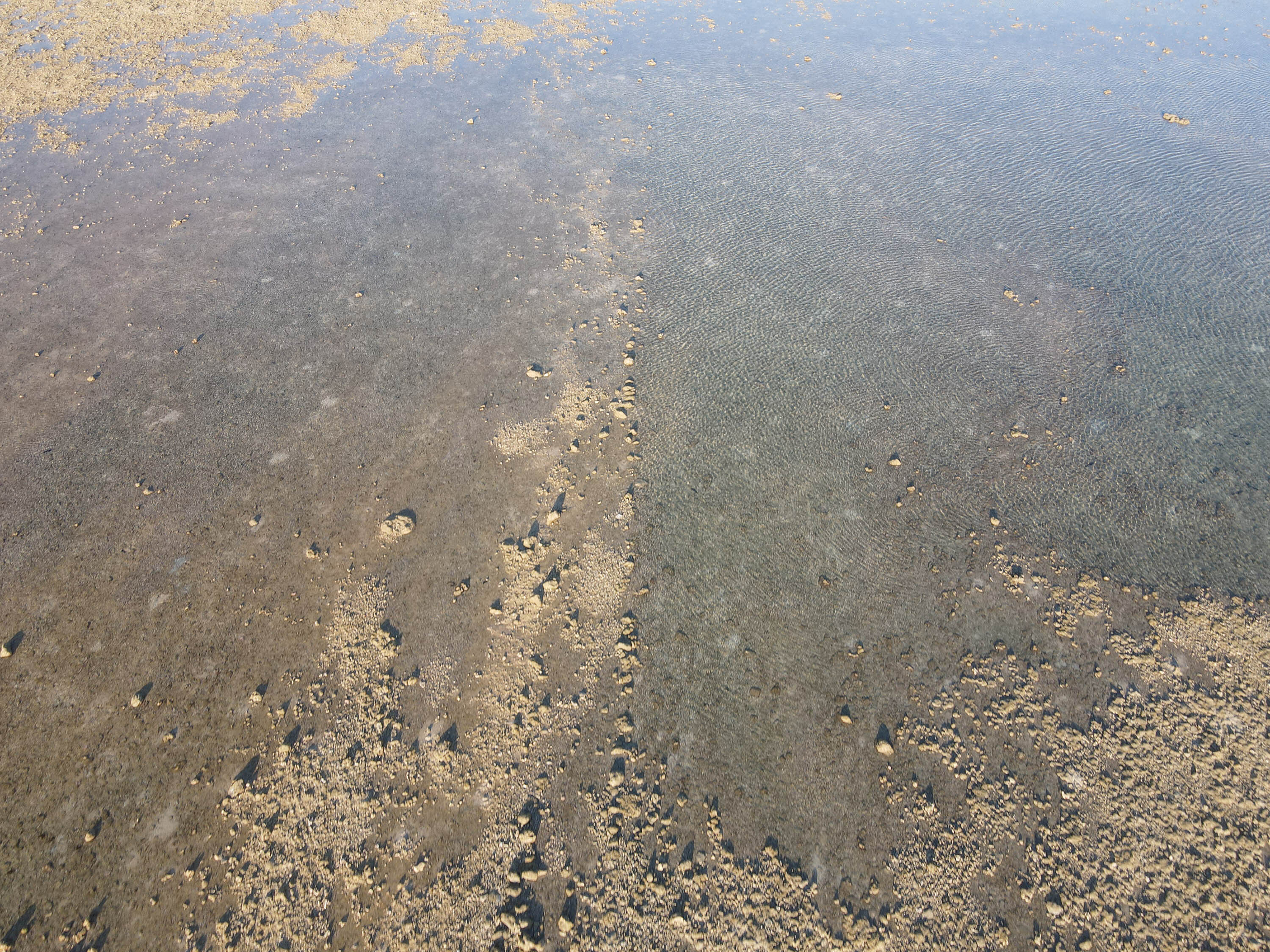 吉貝村無名滬（1）的左伸腳