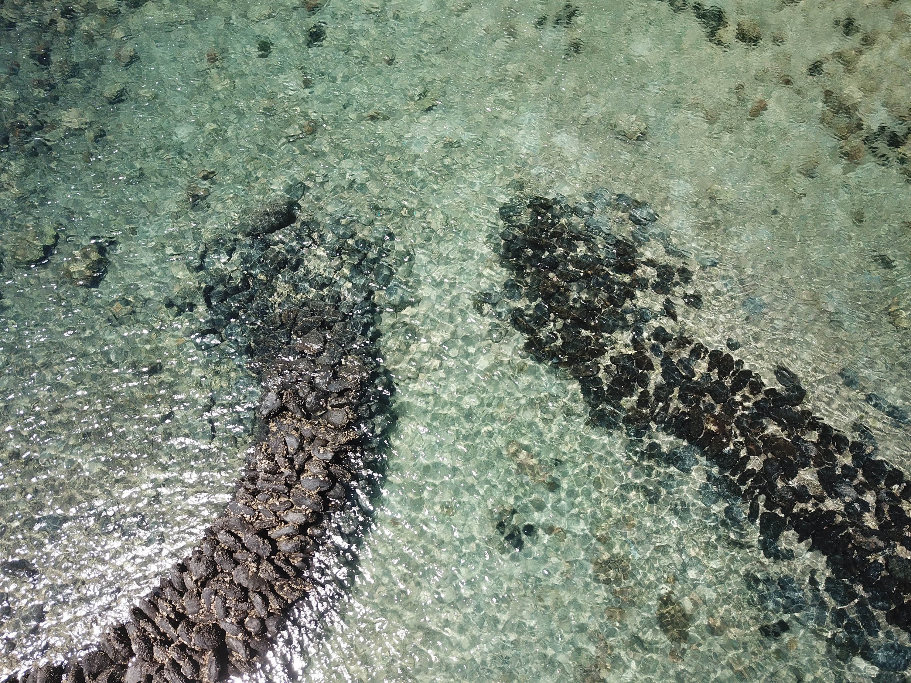 鳥嶼村舊新滬的滬門