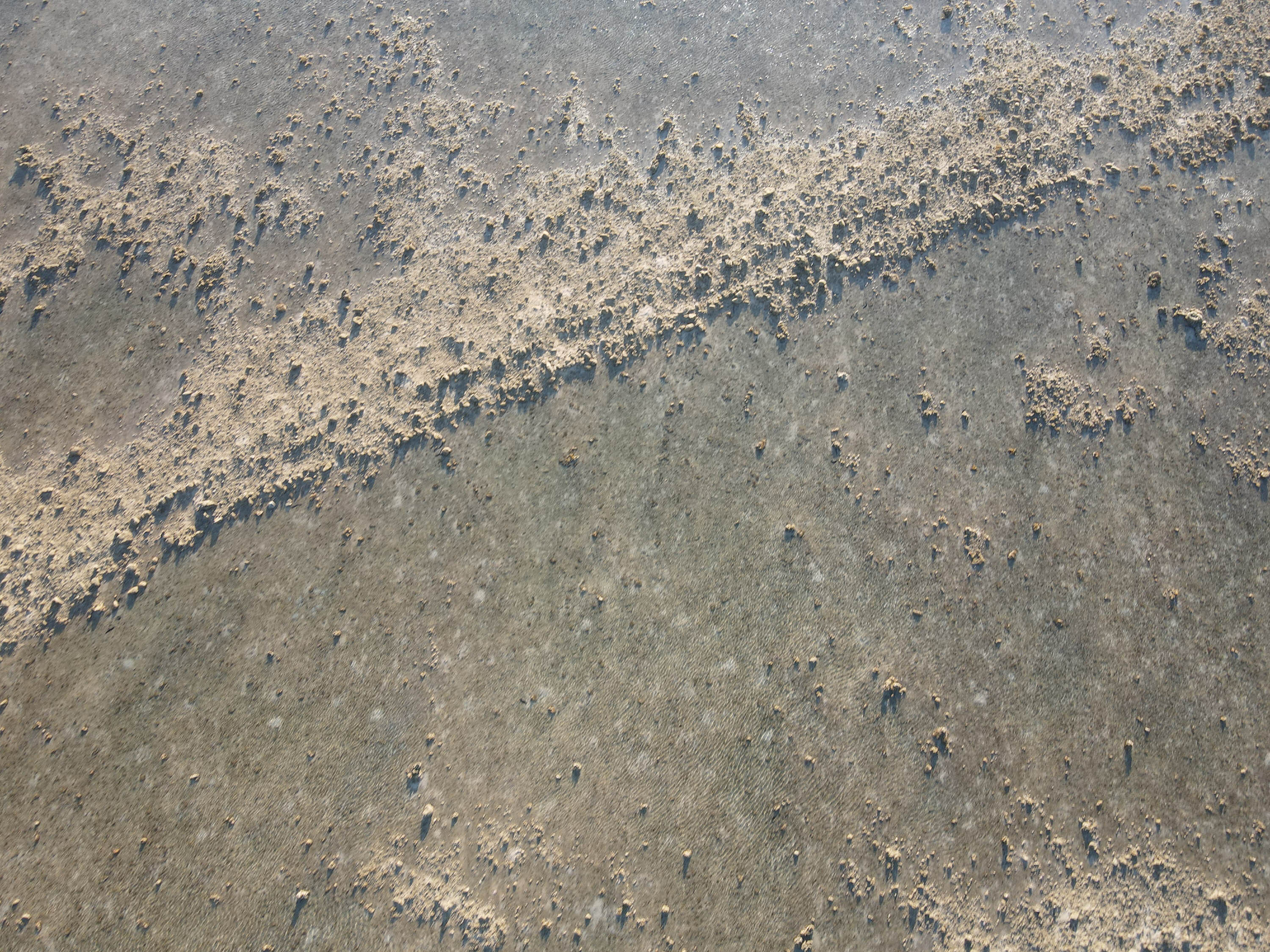 吉貝村無名滬（1）的右伸腳