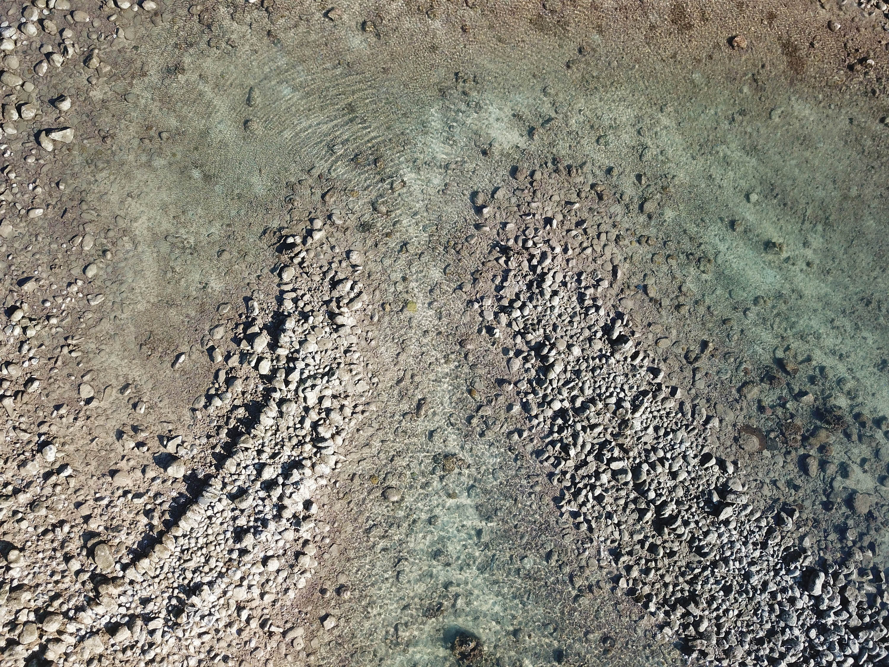 鳥嶼村鐘滬內的滬門