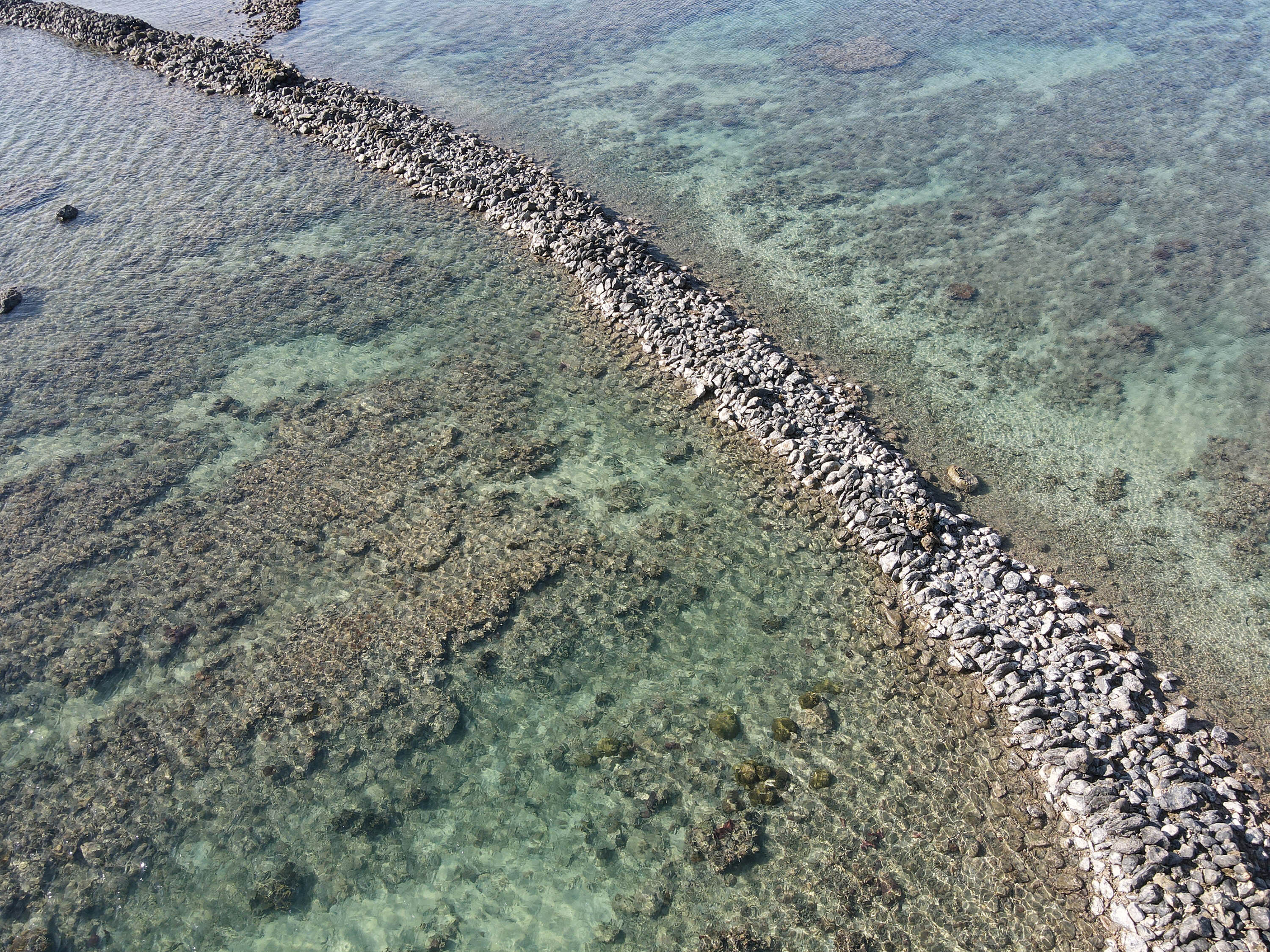 吉貝村上滬頭的左伸腳