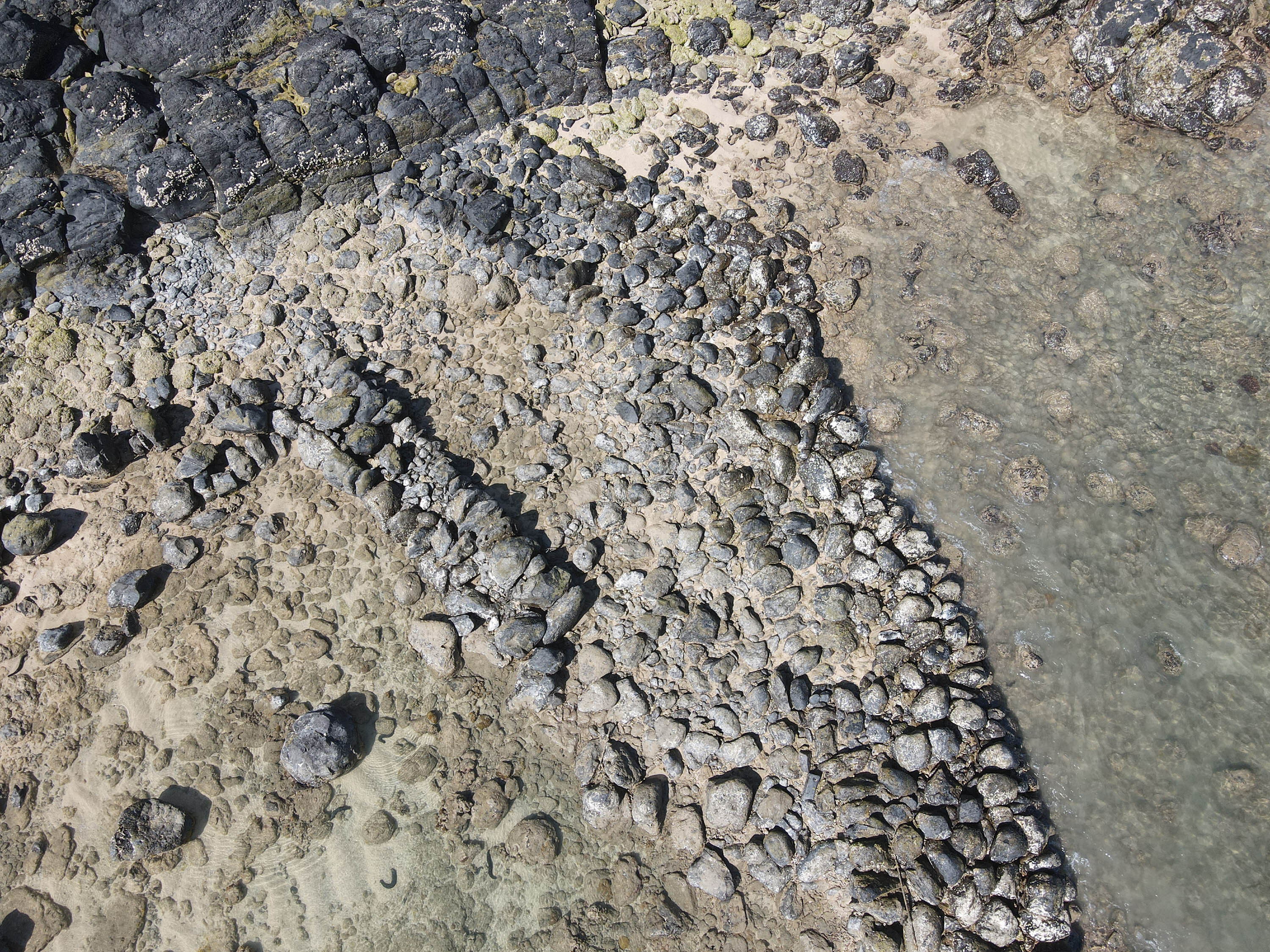吉貝村東焦坪仔滬的左陸連（圖中）與左岸仔（圖左）
