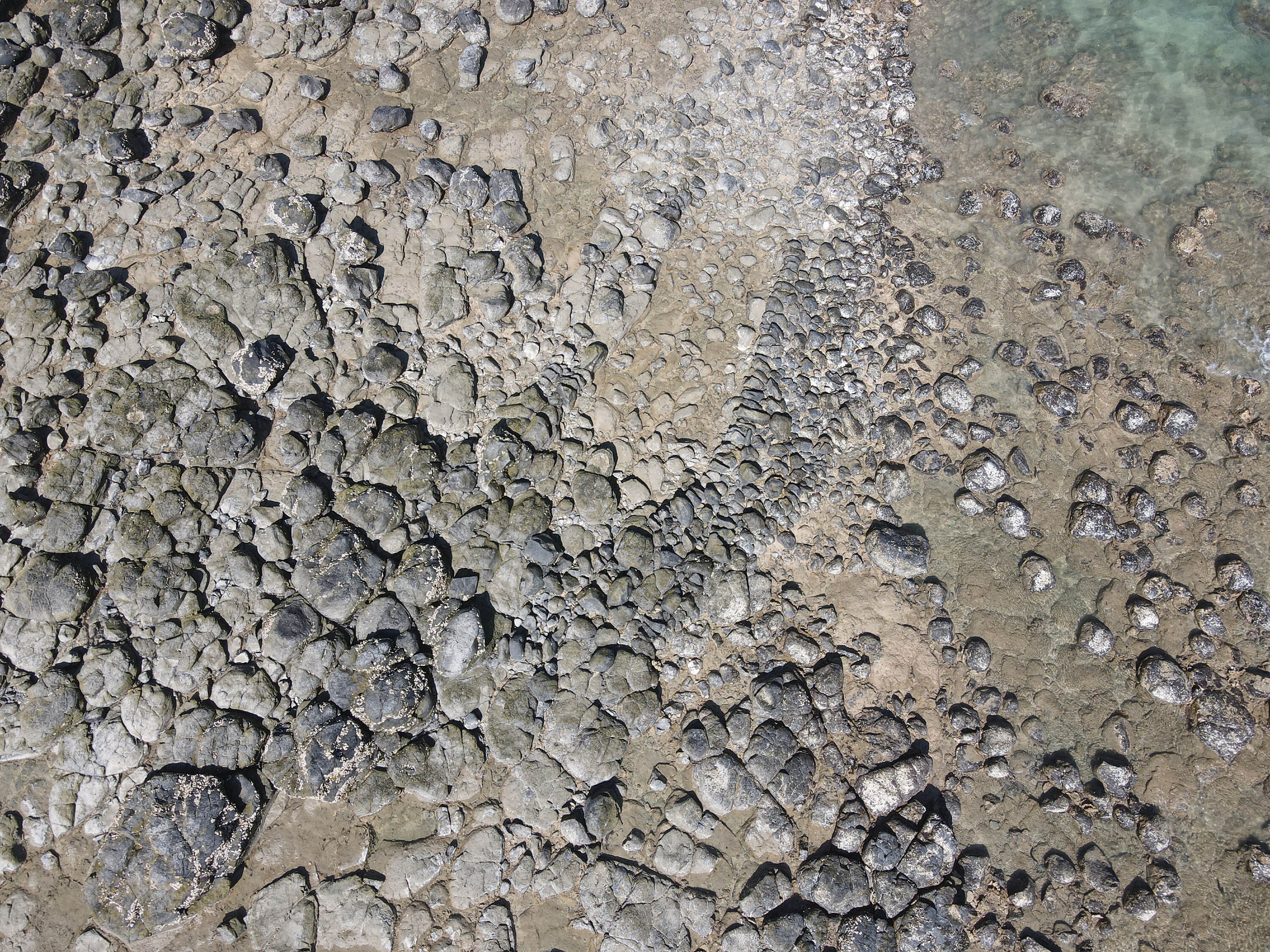 吉貝村東焦坪仔滬的右陸連（圖右）與右岸仔（圖中上）