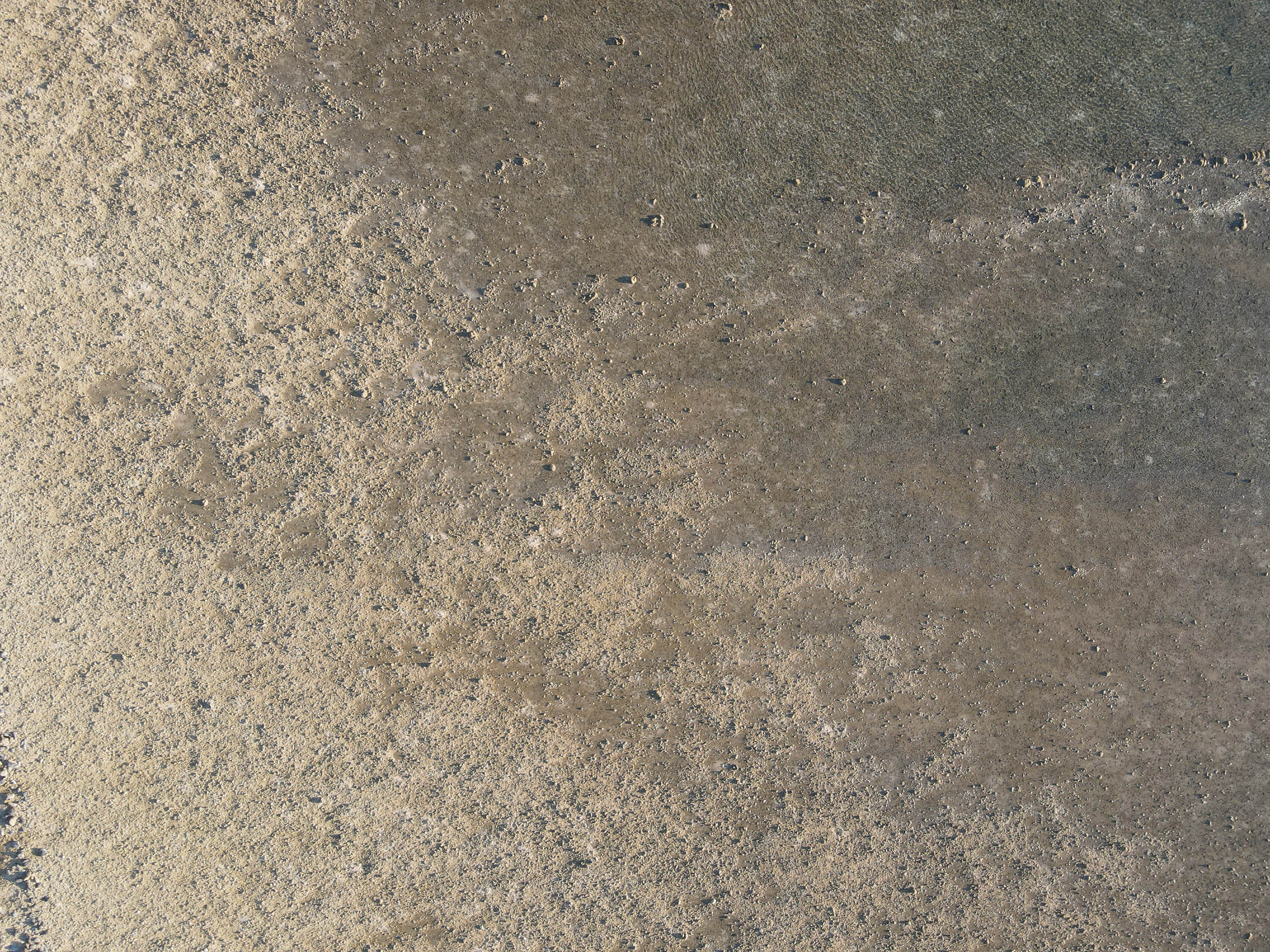 吉貝村無名滬（1）的左伸腳