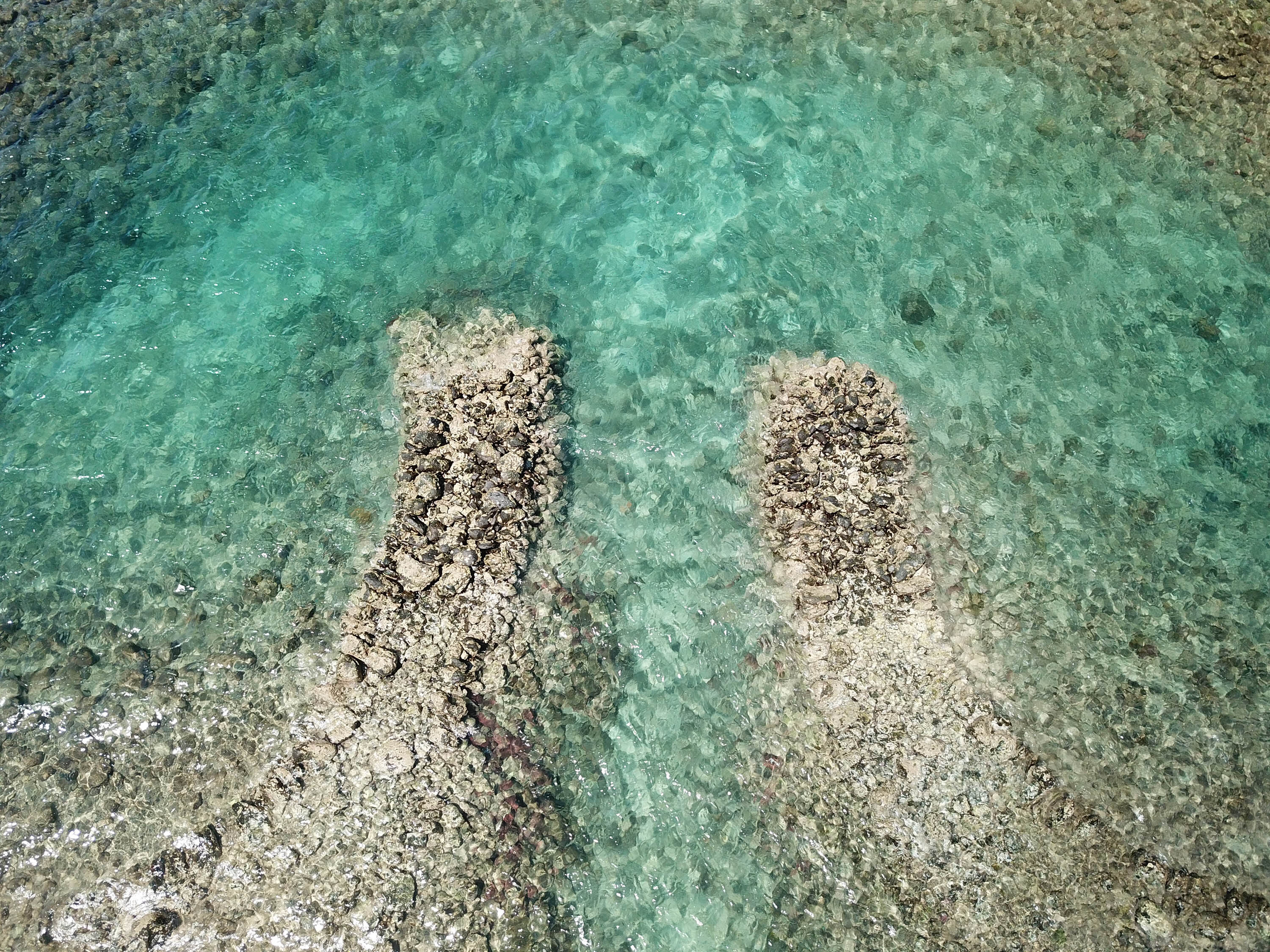 鳥嶼村新滬房的滬門