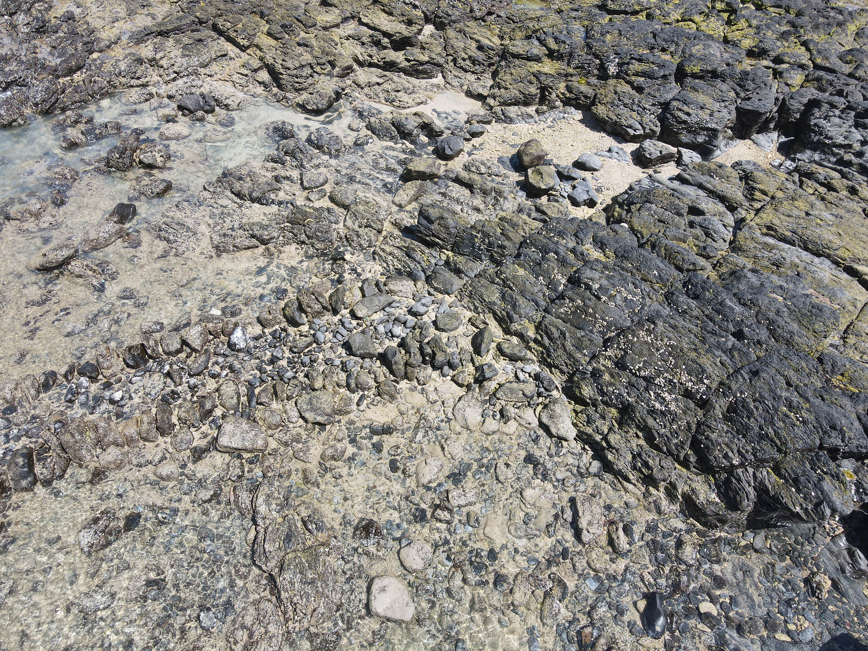 吉貝村鸚哥籠滬的右陸連