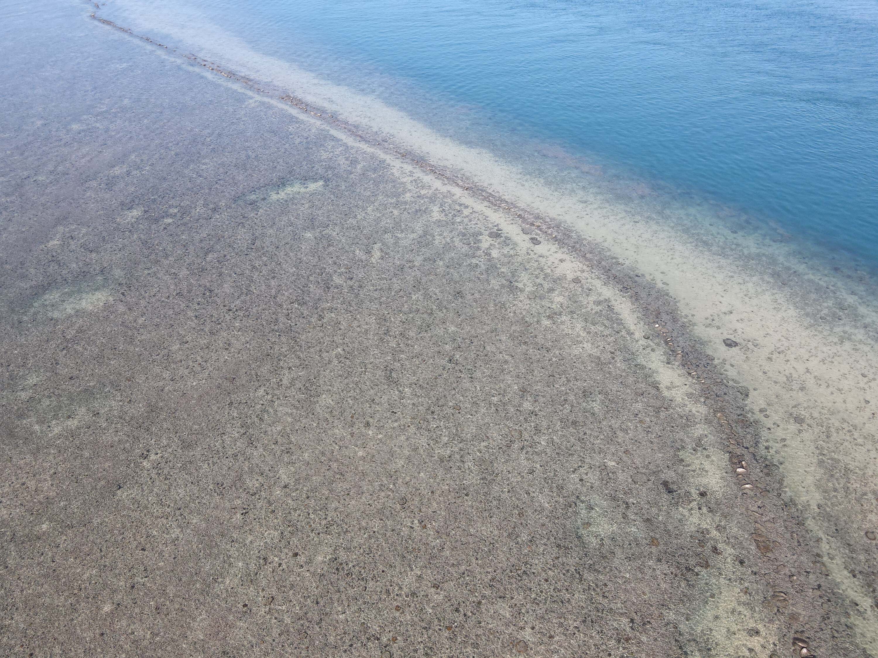 港子村北嶺滬的