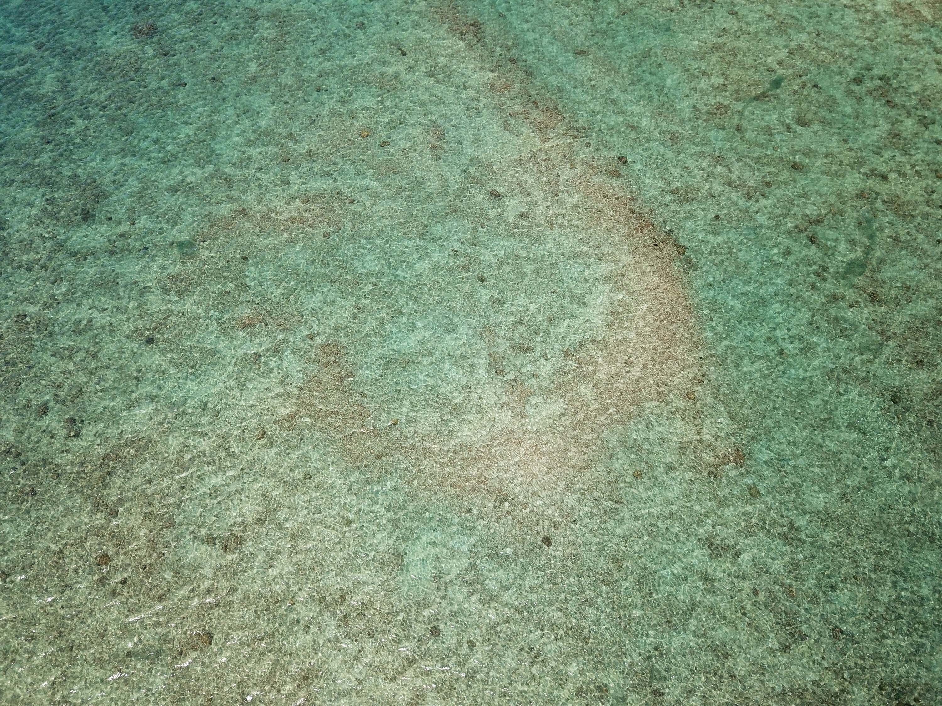 鳥嶼村內新滬的右滬彎