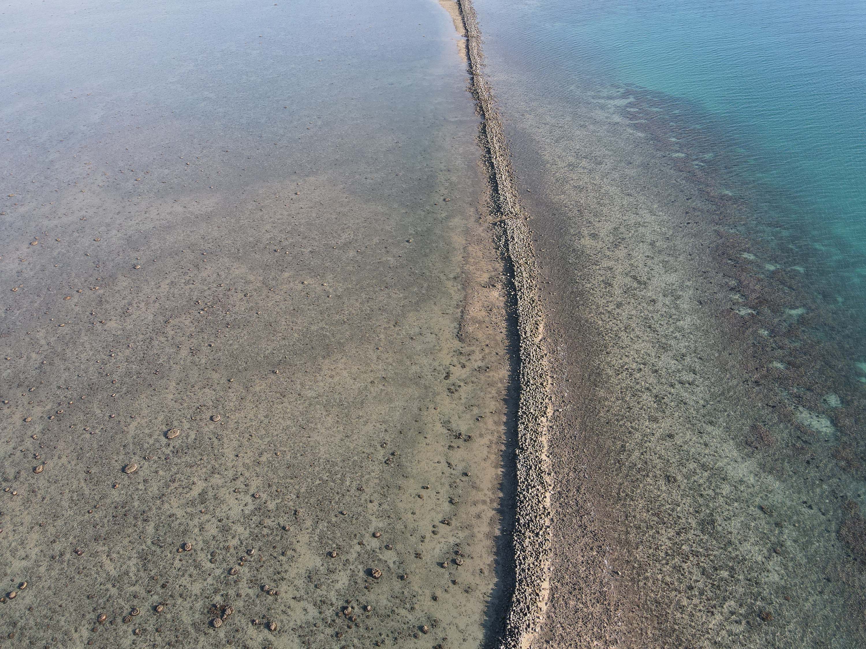 赤崁村倒掛仔滬的右伸腳
