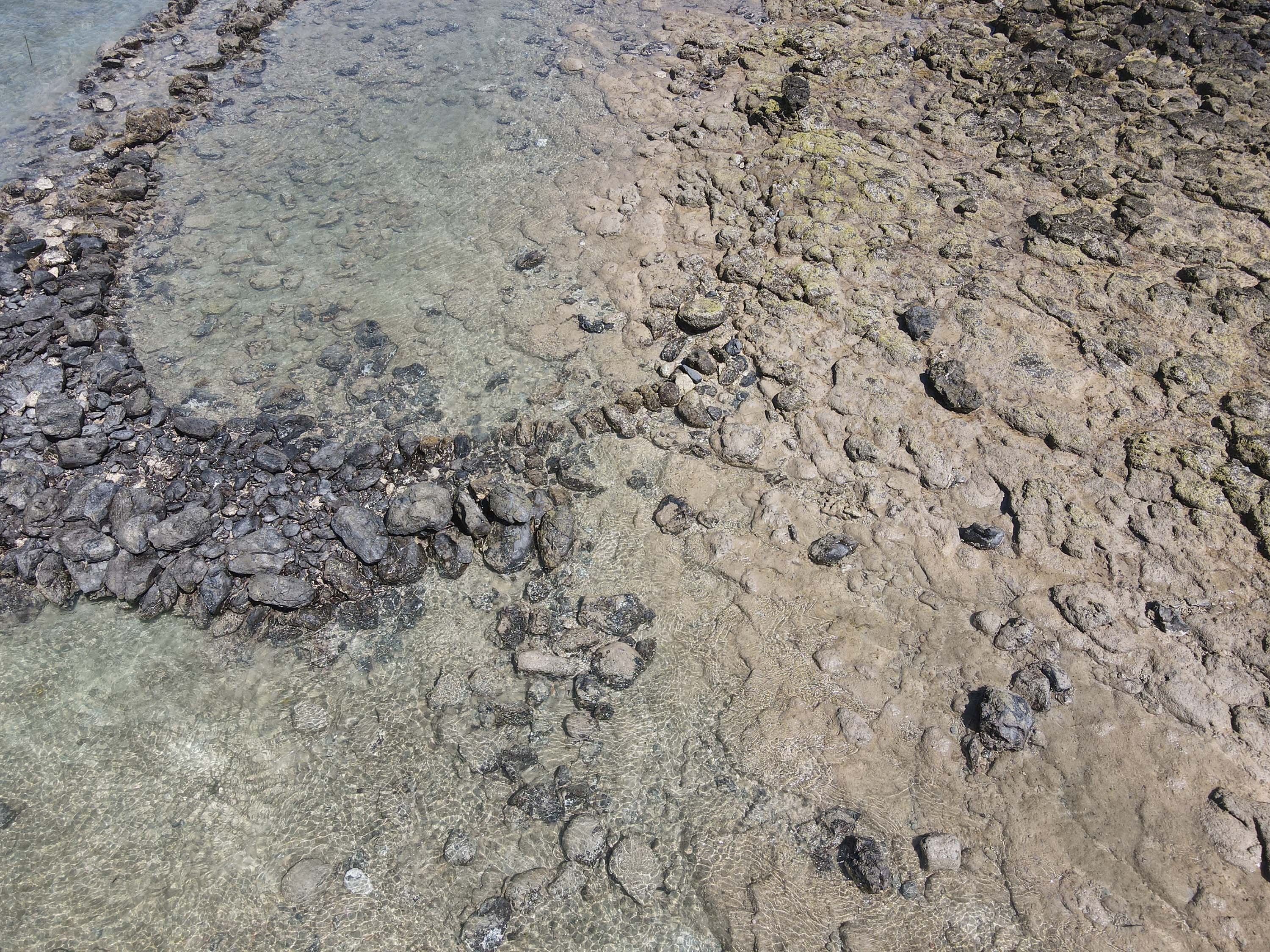 吉貝村鸚哥籠滬的左陸連