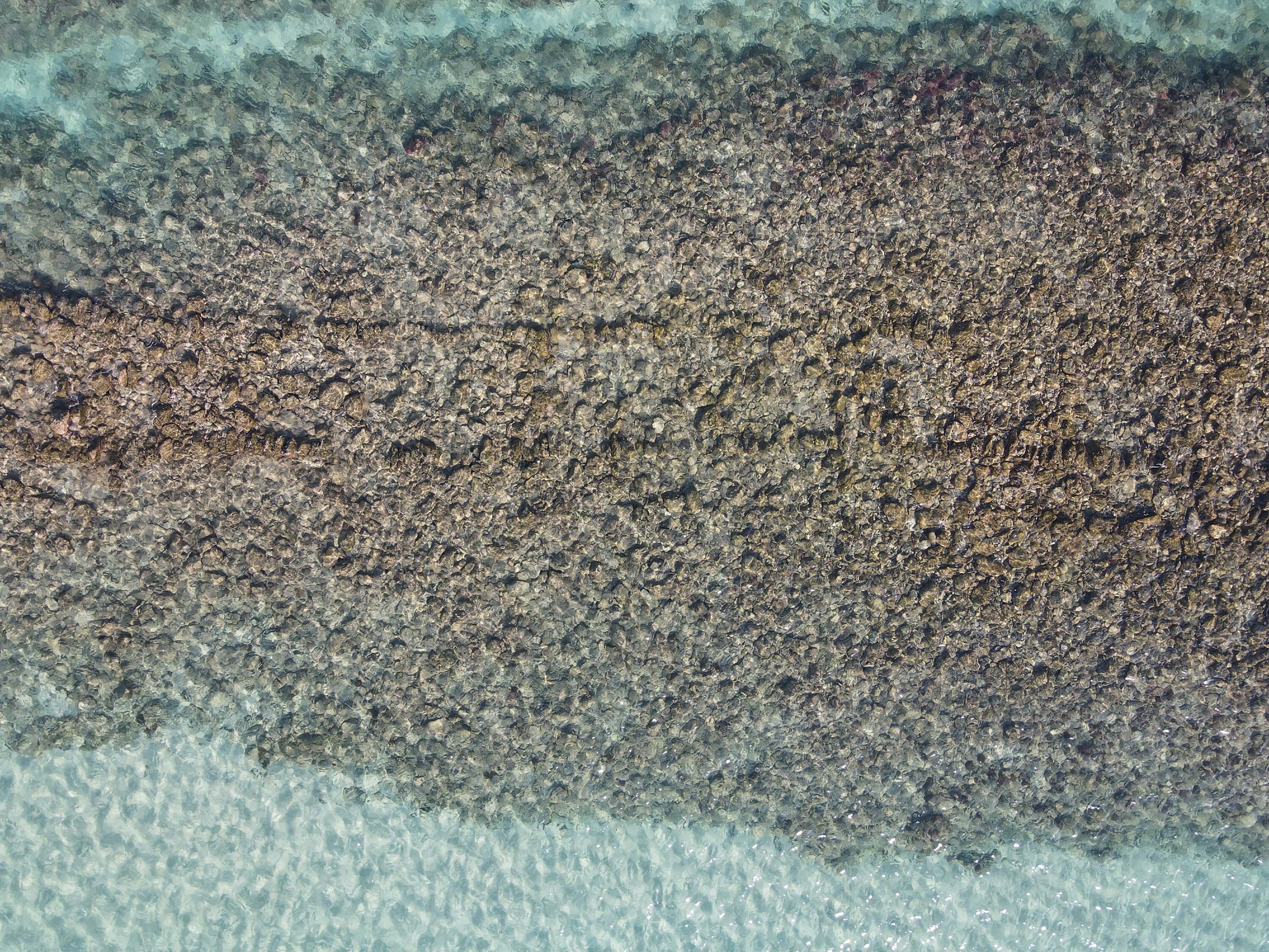 吉貝村大半洋滬的滬岸